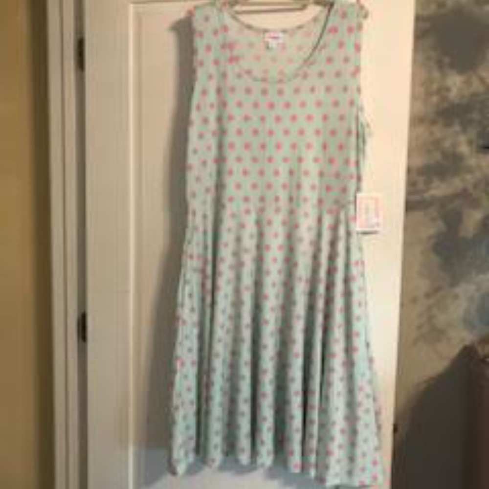 LuLaRoe Nicki Dress Size 2XL